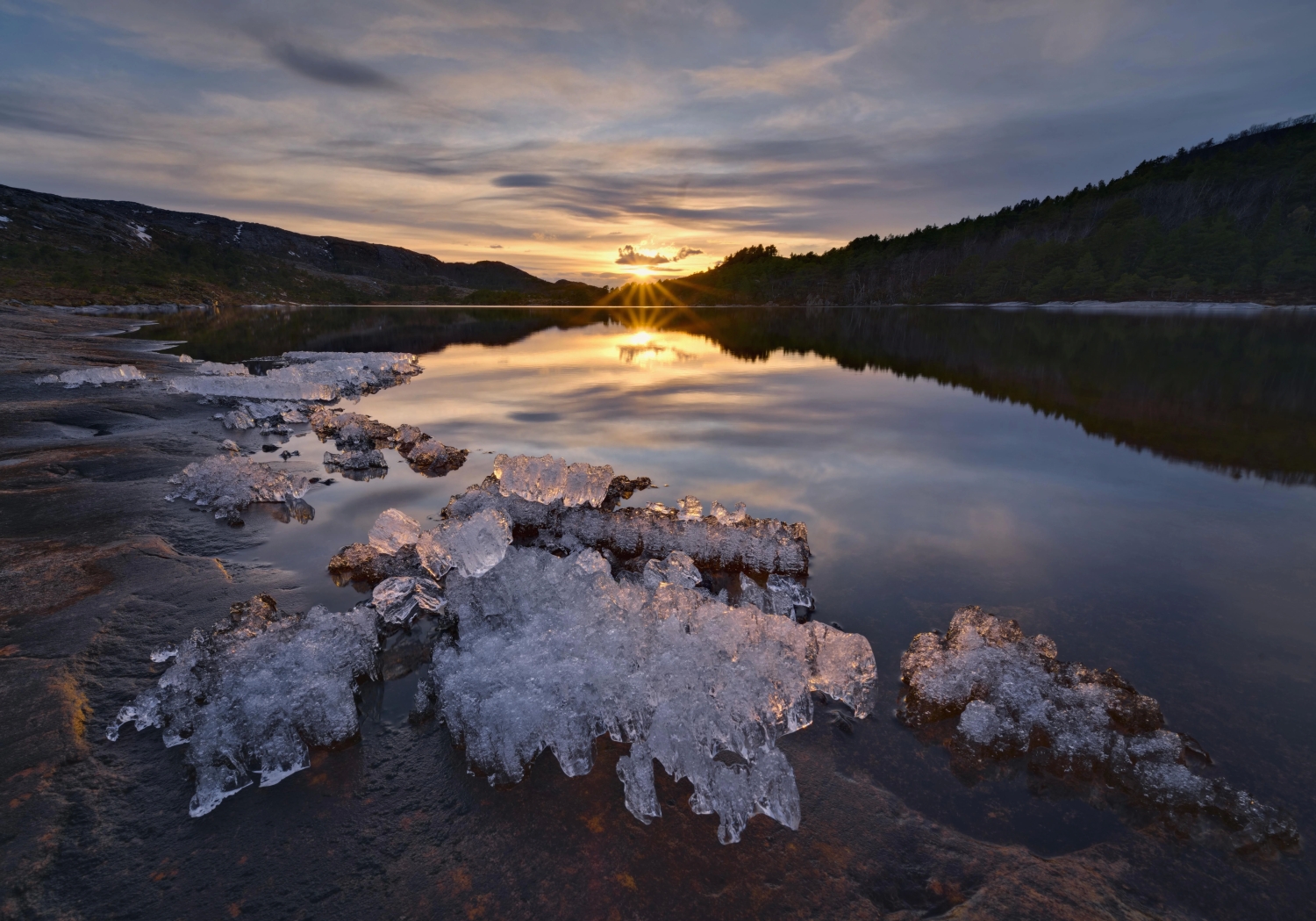 naturephotos34_022