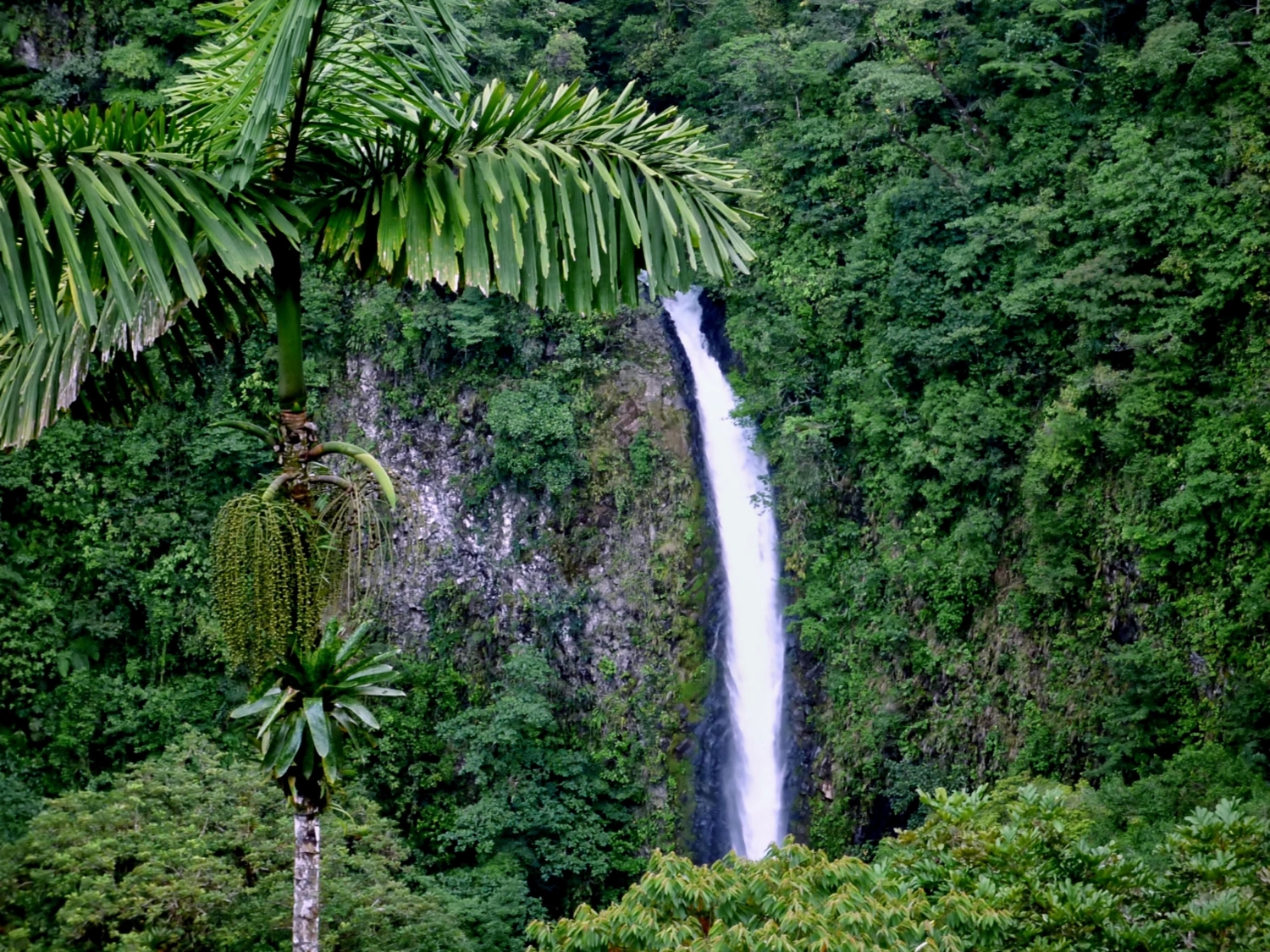 naturephotos34_025