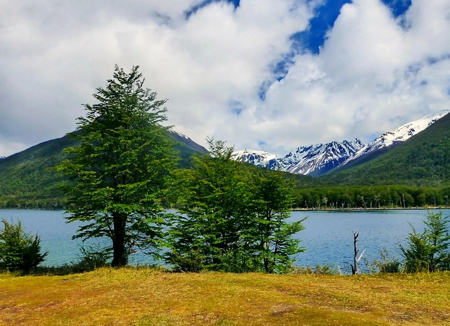 naturephotos34_028