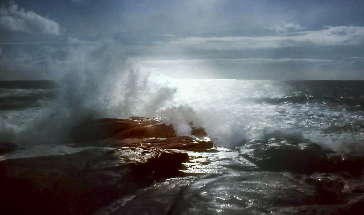 naturephotos34_031