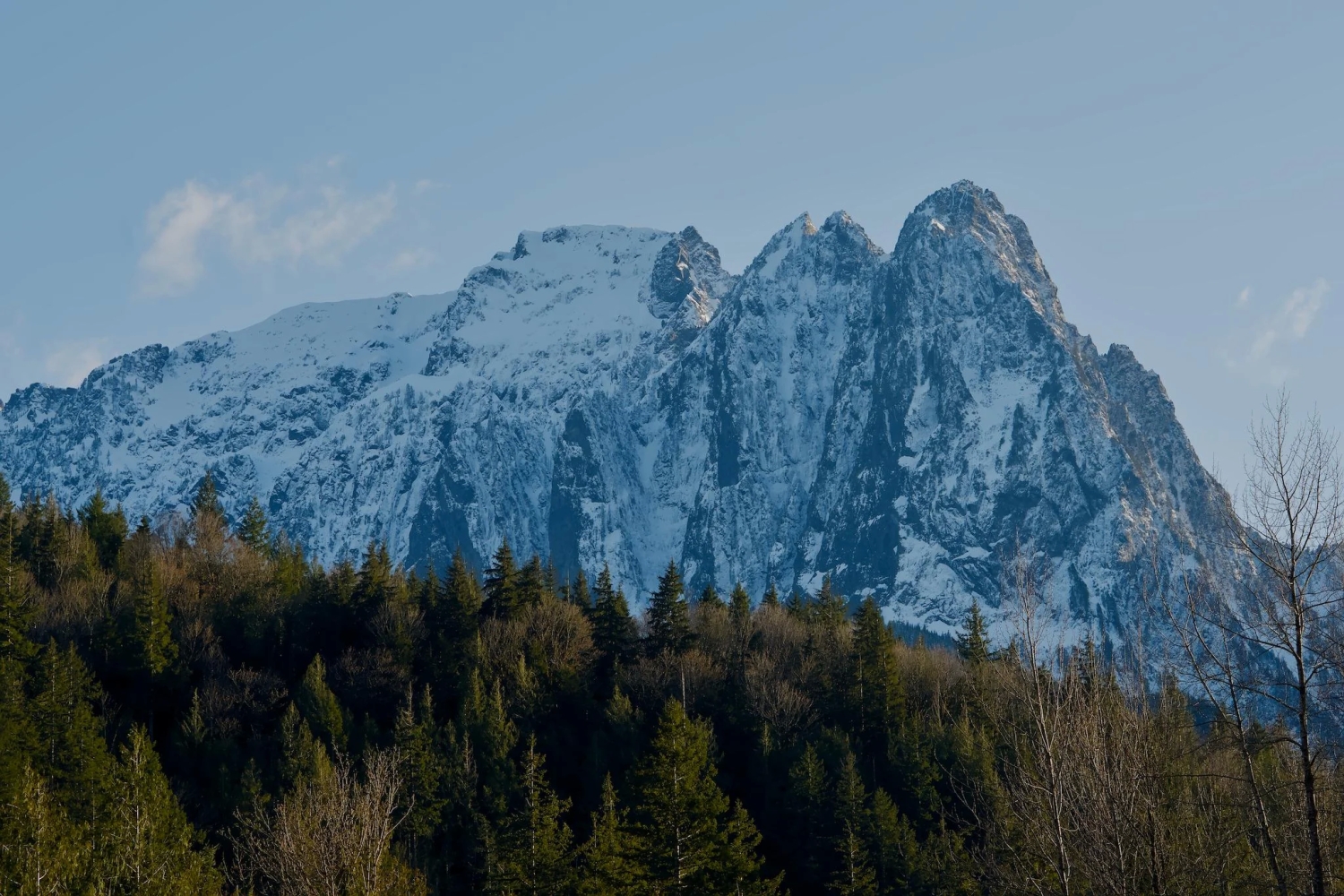 naturephotos34_038