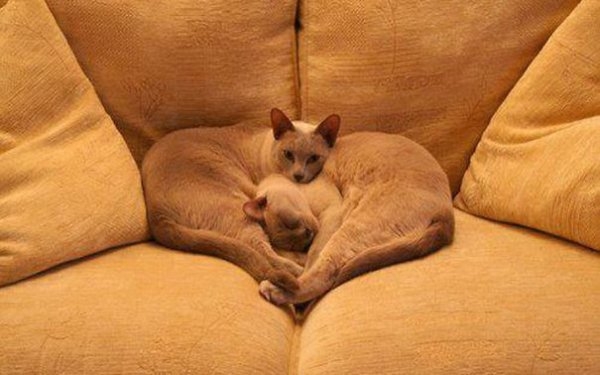perfectphotos222_040