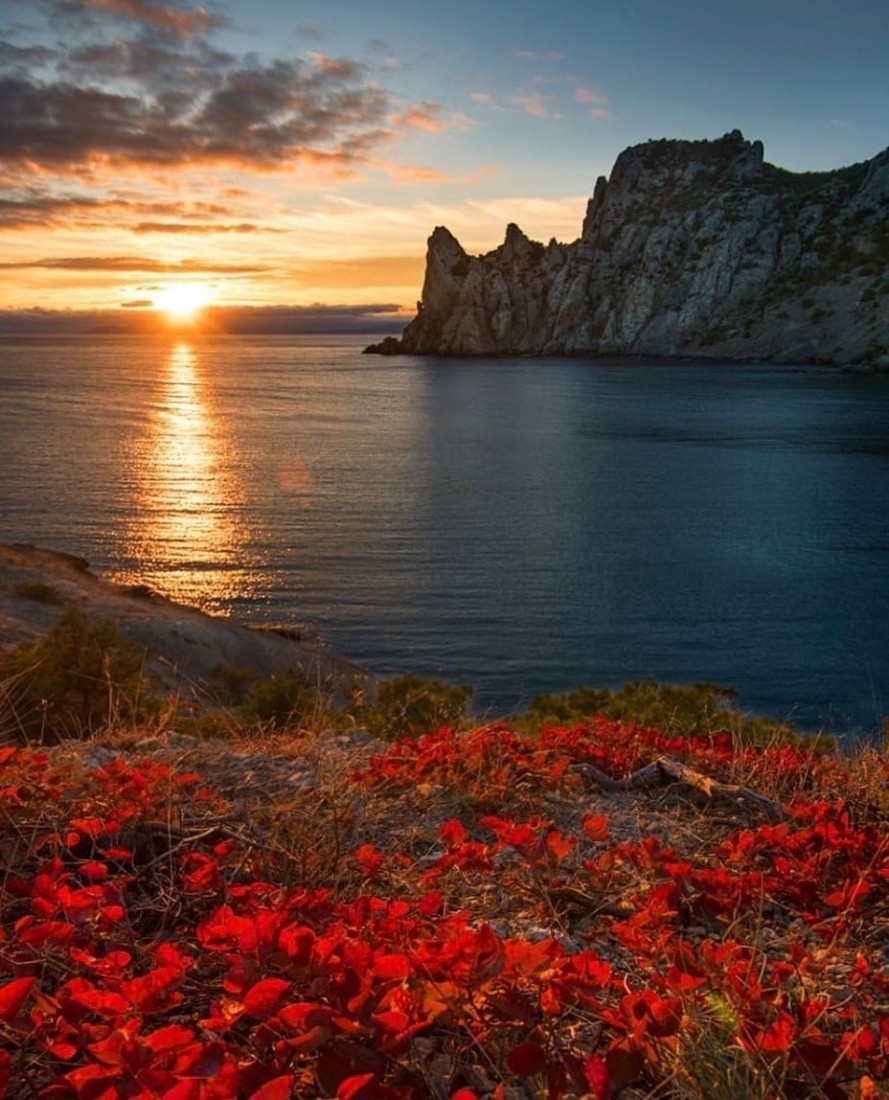 randompics2041_018