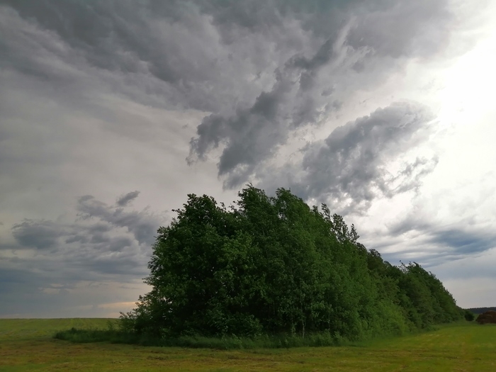 randompics2041_023