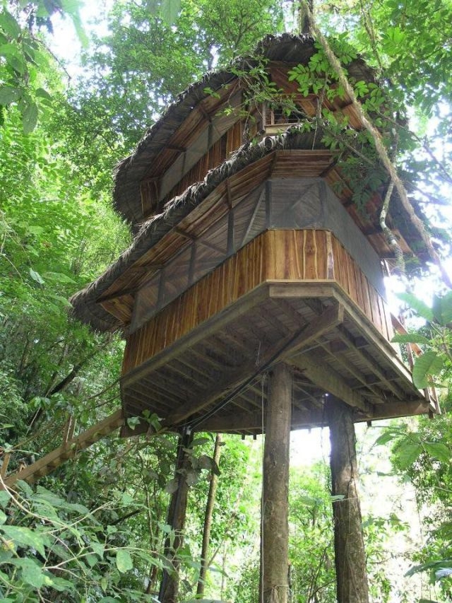 treehousevillagecostarica_003