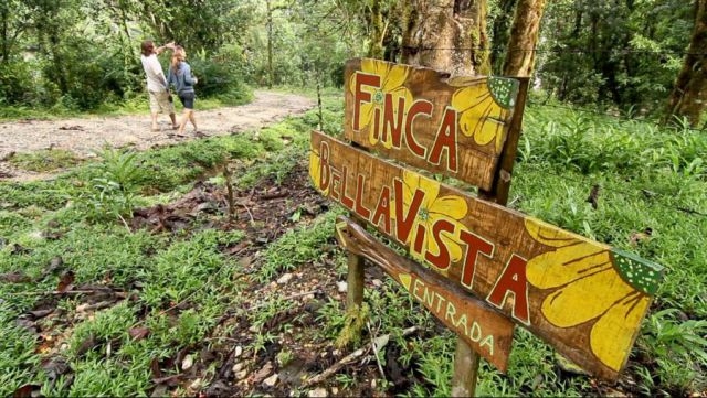 treehousevillagecostarica_006