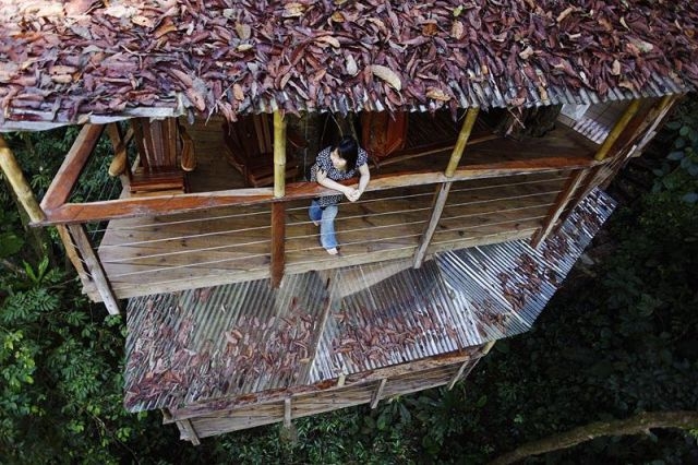 treehousevillagecostarica_023