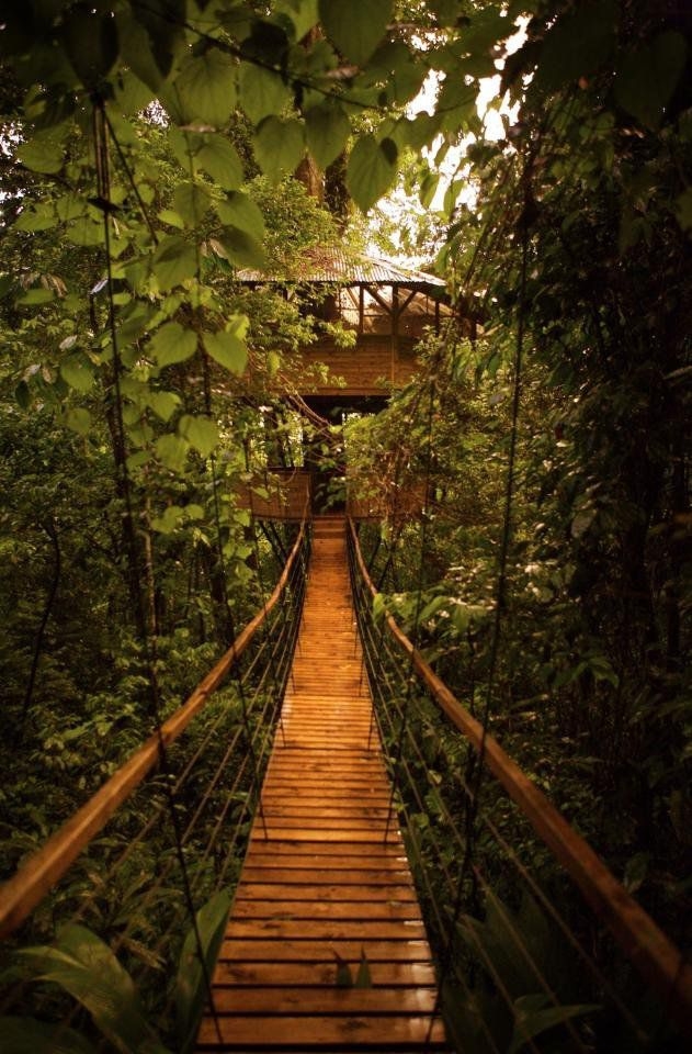 treehousevillagecostarica_024