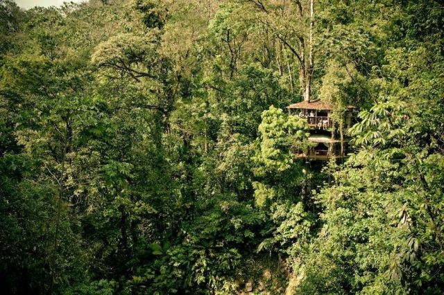 treehousevillagecostarica_026