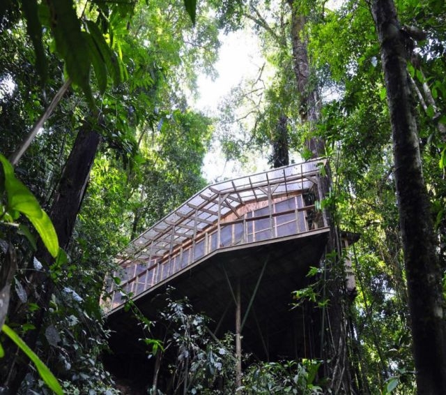 treehousevillagecostarica_028