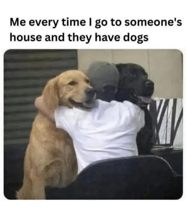 truememes75_002