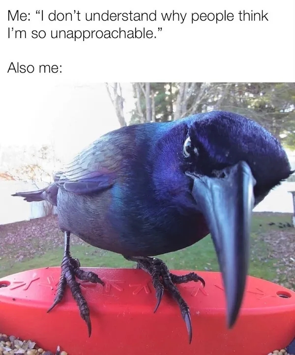 truememes75_024