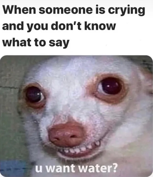 truememes75_035