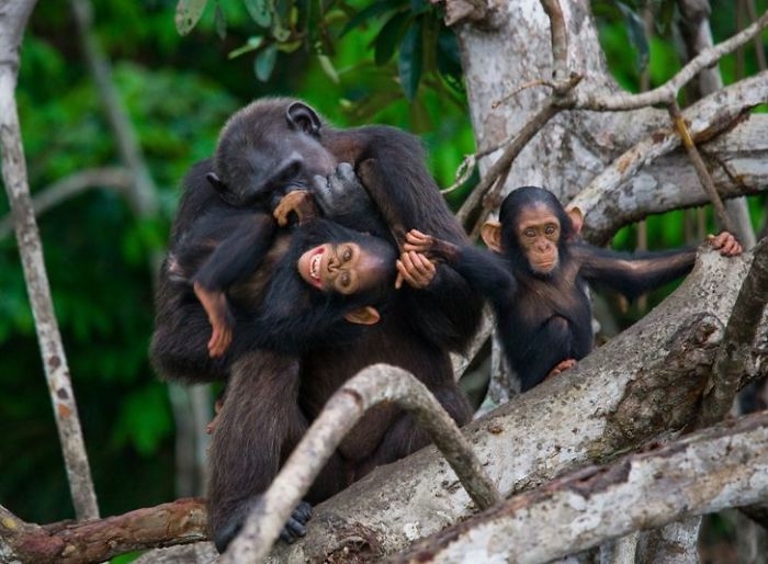 wildlife2_011