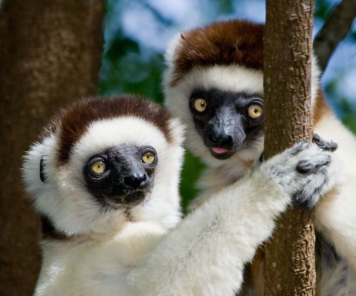 wildlife2_014