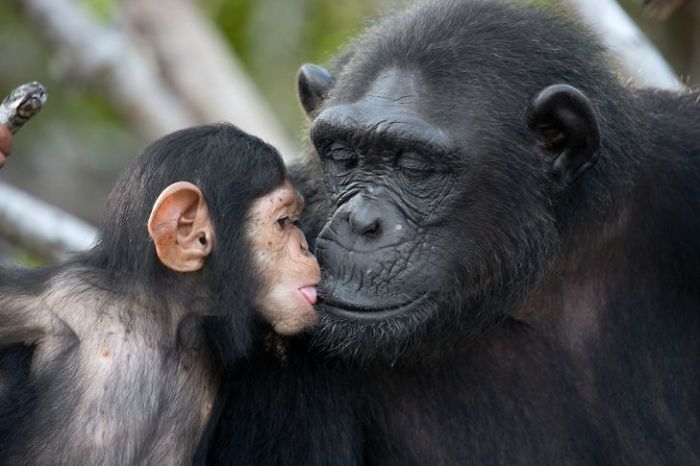 wildlife2_023