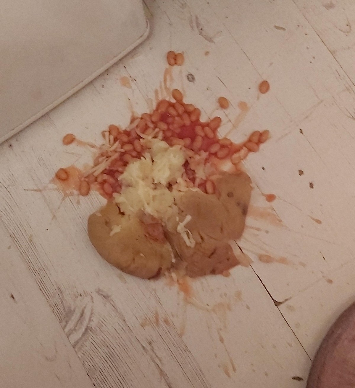 failz365_055