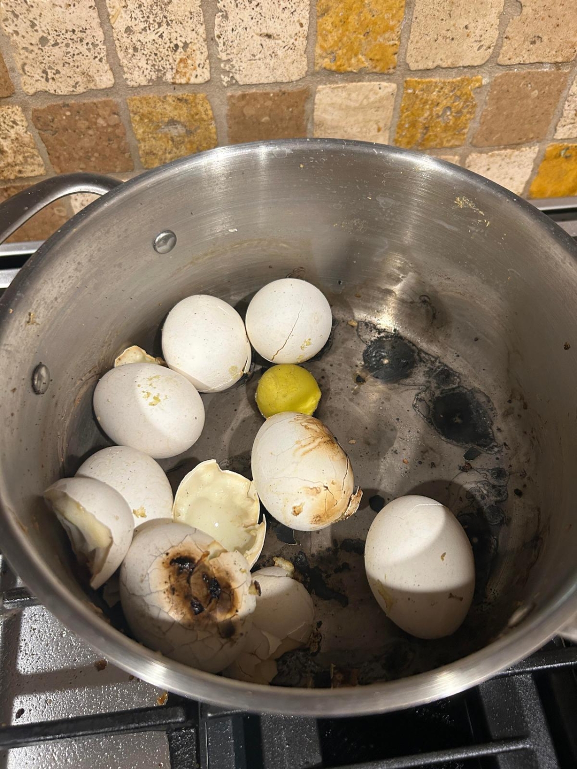 failz368_041 failz368_041