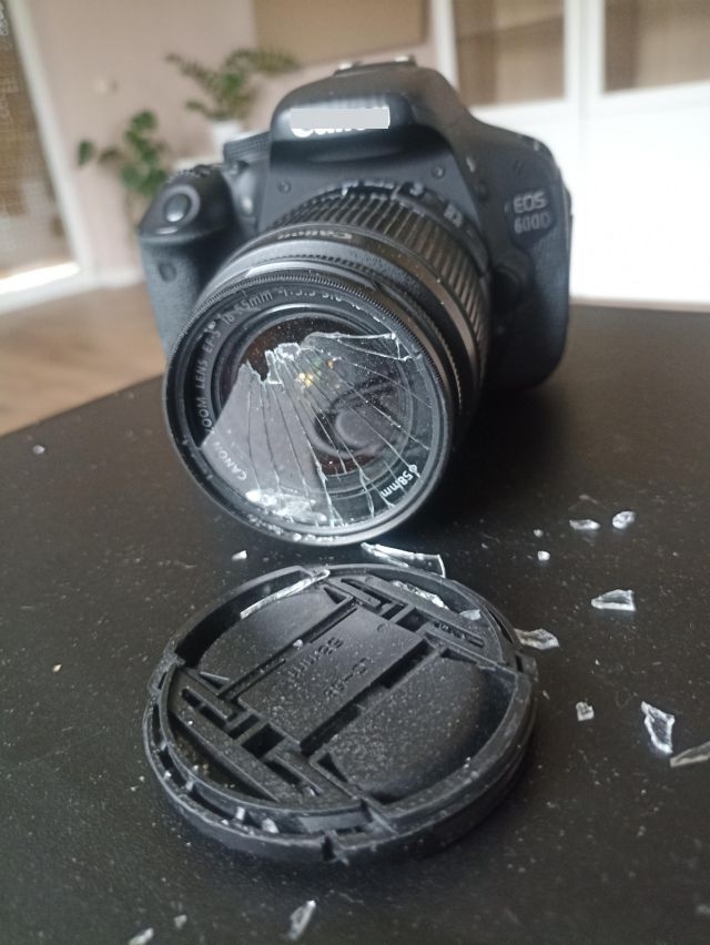 failz376_031