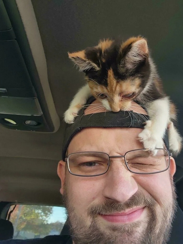 funnycats119_002