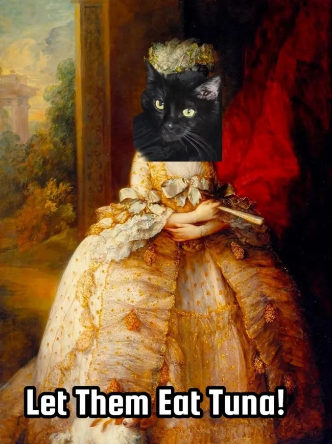 funnycats119_034