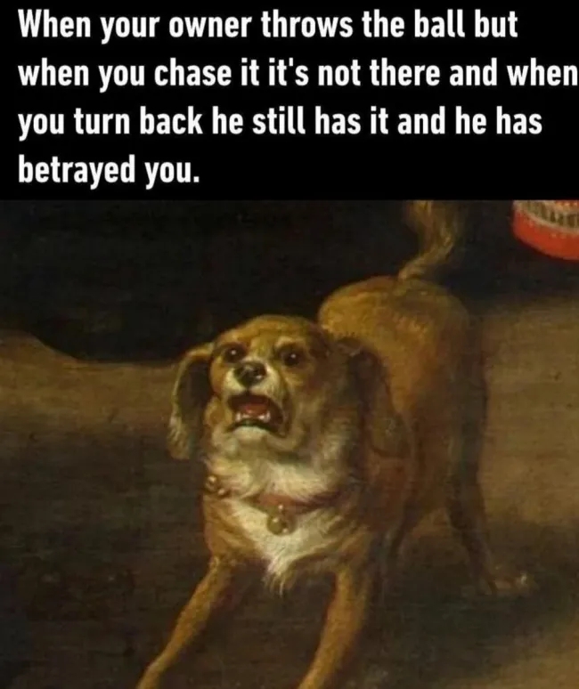 funnymemes537_004