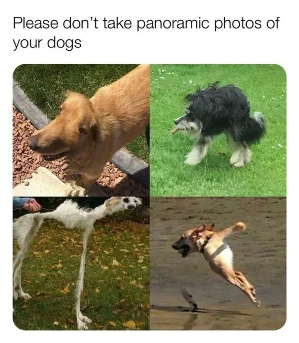 funnymemes537_026