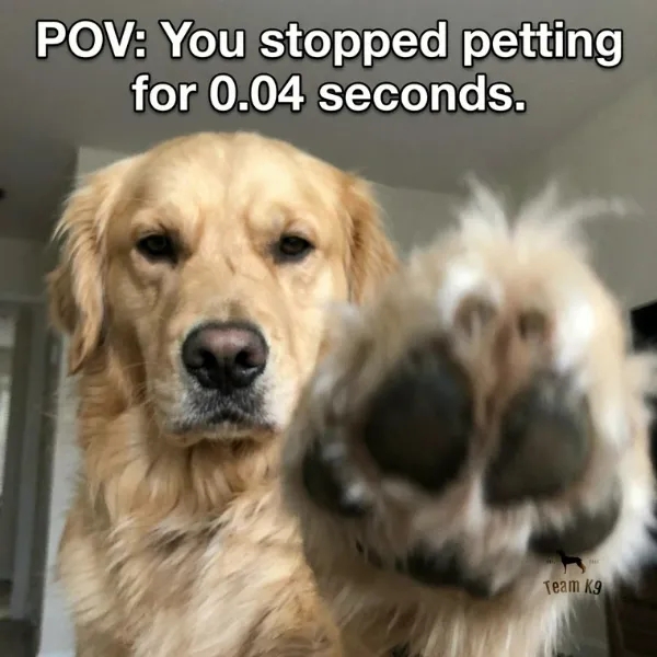 funnymemes537_033