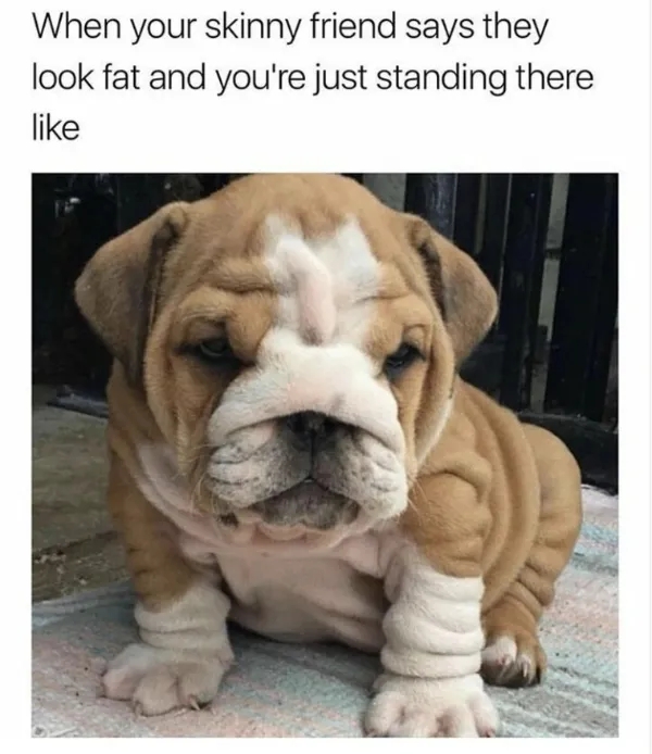 funnymemes537_035