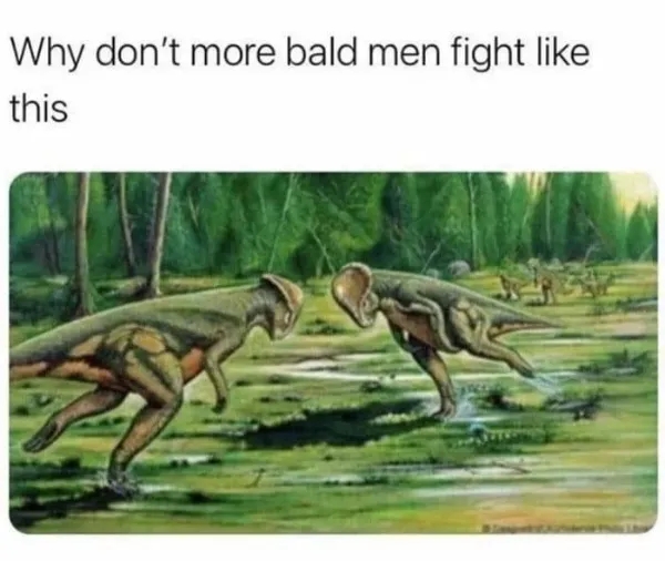 funnymemes537_036