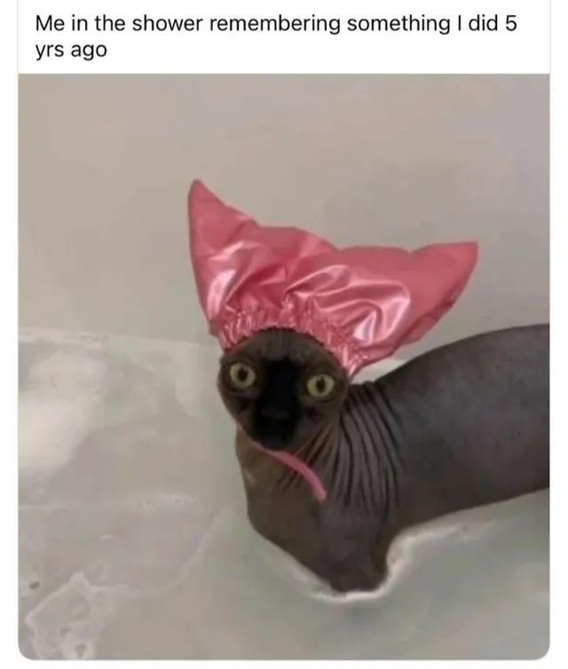 funnymemes537_039