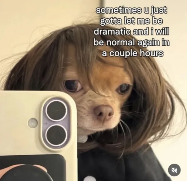 funnymemes537_040