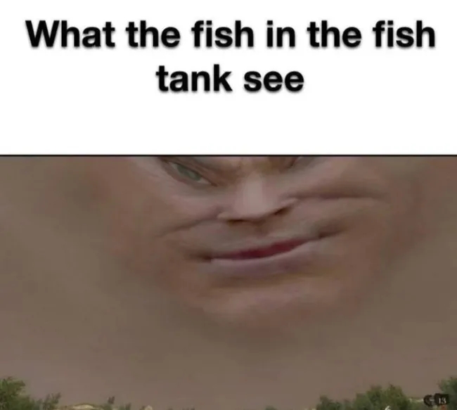 funnymemes538_001