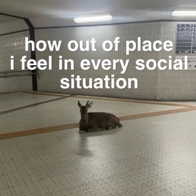 funnymemes538_005