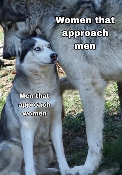 funnymemes538_007