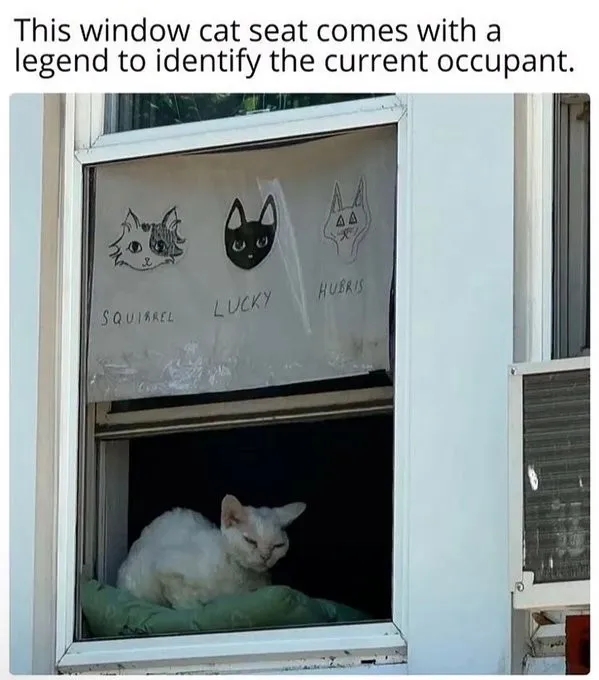 funnymemes538_010