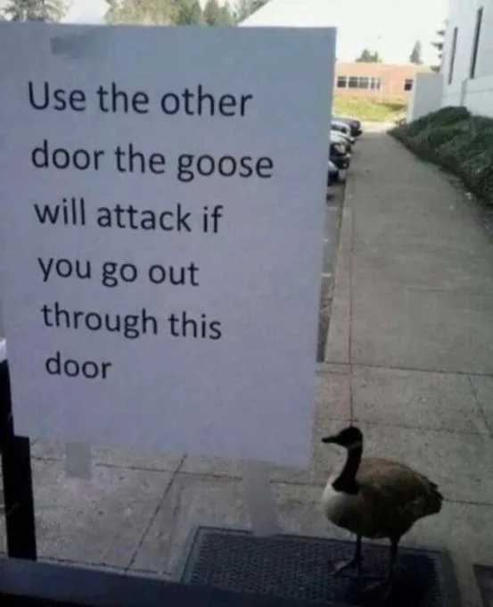 funnymemes538_013