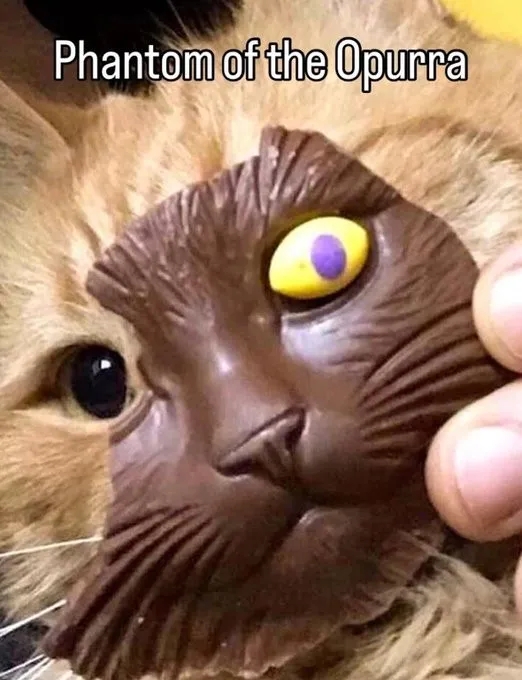 funnymemes538_019