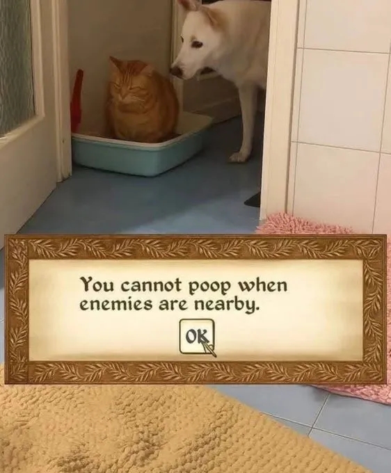 funnymemes538_020