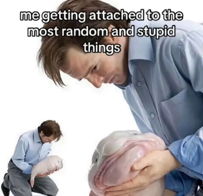 funnymemes538_022