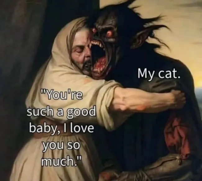 funnymemes539_015