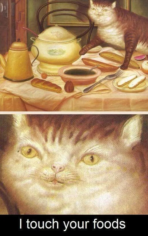 funnymemes539_022