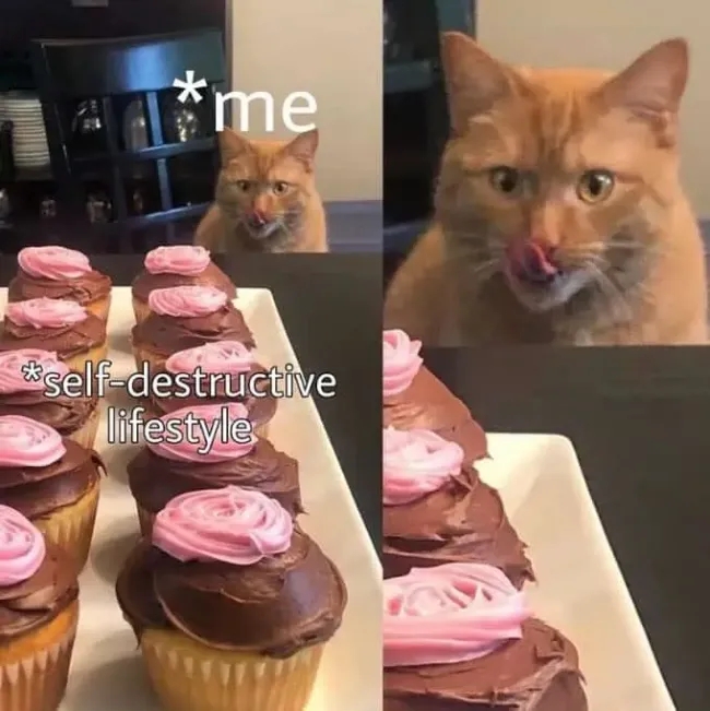 funnymemes539_040
