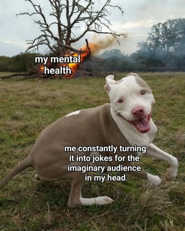 funnymemes540_007