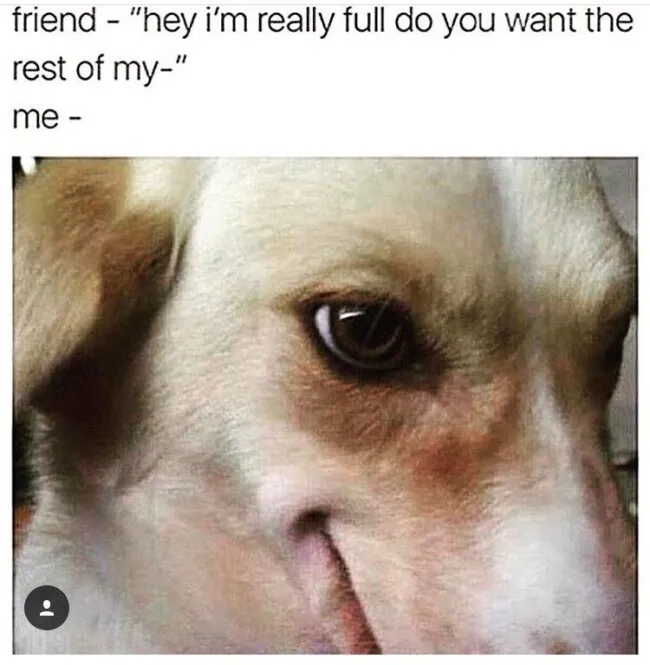 funnymemes540_010
