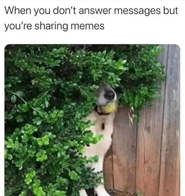 funnymemes540_013
