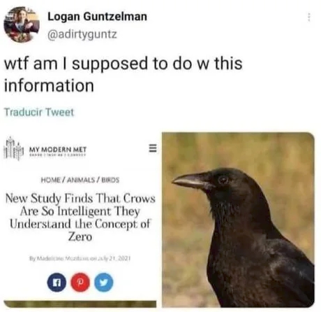 funnymemes540_030