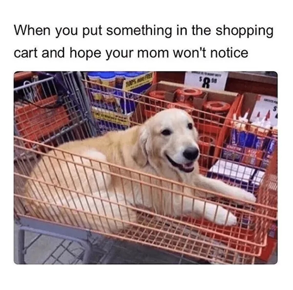 funnymemes542_015