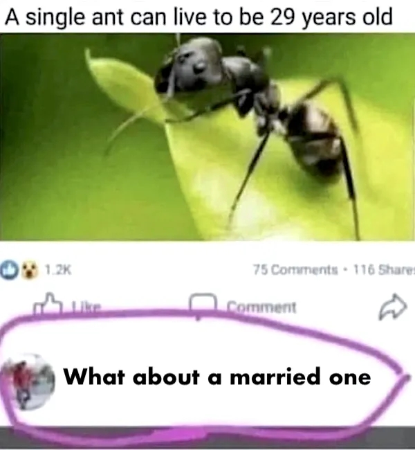 funnymemes542_025