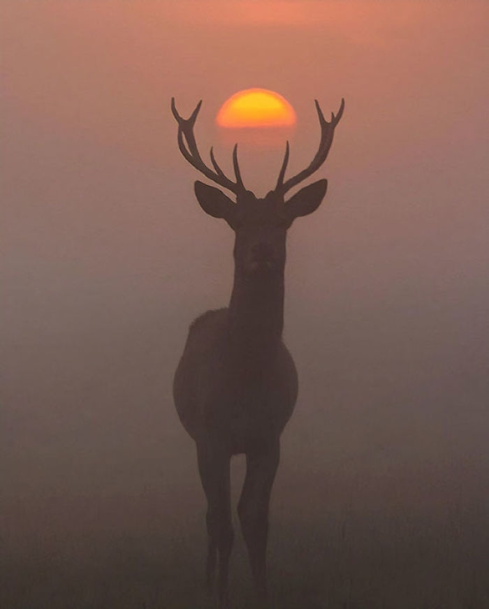 perfectlytimed2_004